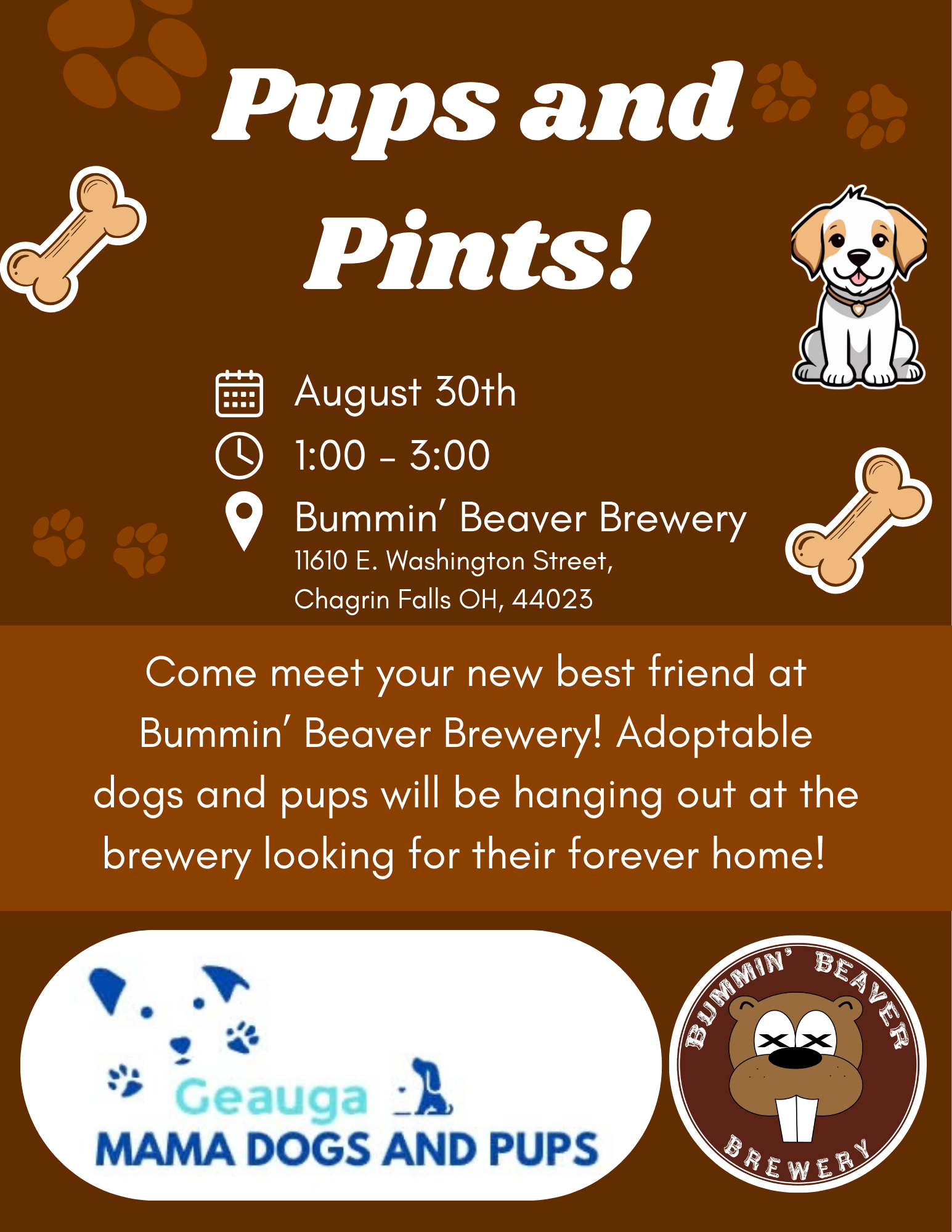 Brown Illustrated National Dog Day Flyer